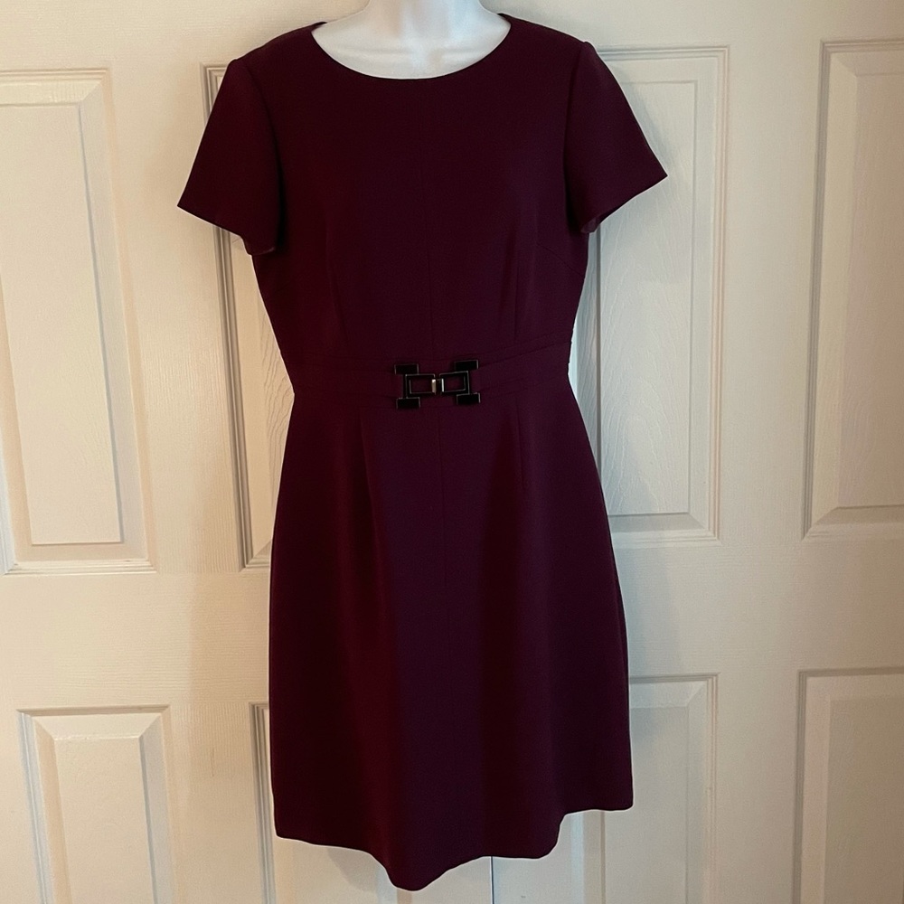 Tahari by Arthur Levine Short Sleeve Dress - Picture 6 of 7